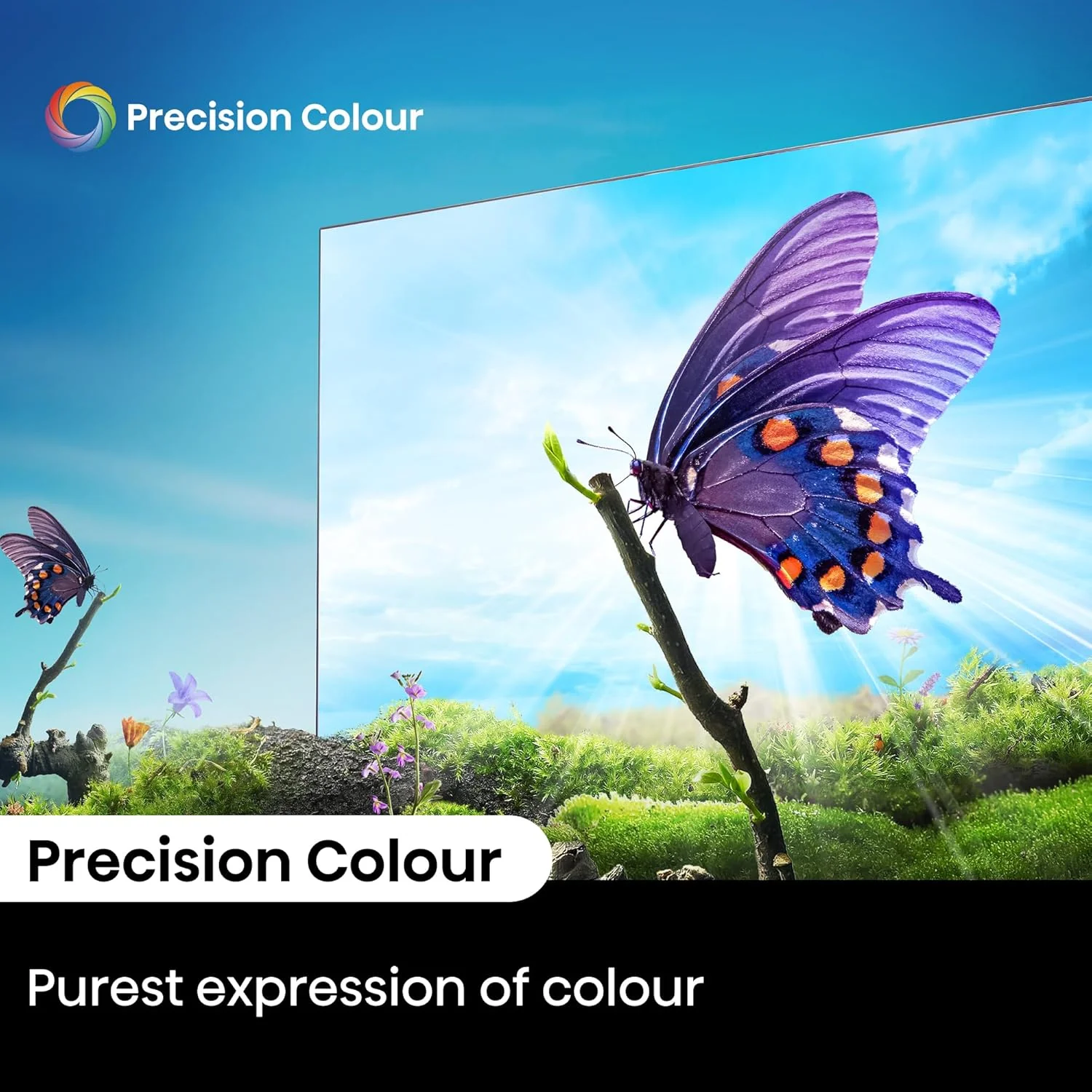Hisense 139 cm (55 inches) E6N Series 4K Ultra HD Smart LED Google TV 55E6N (Black) - Image 13