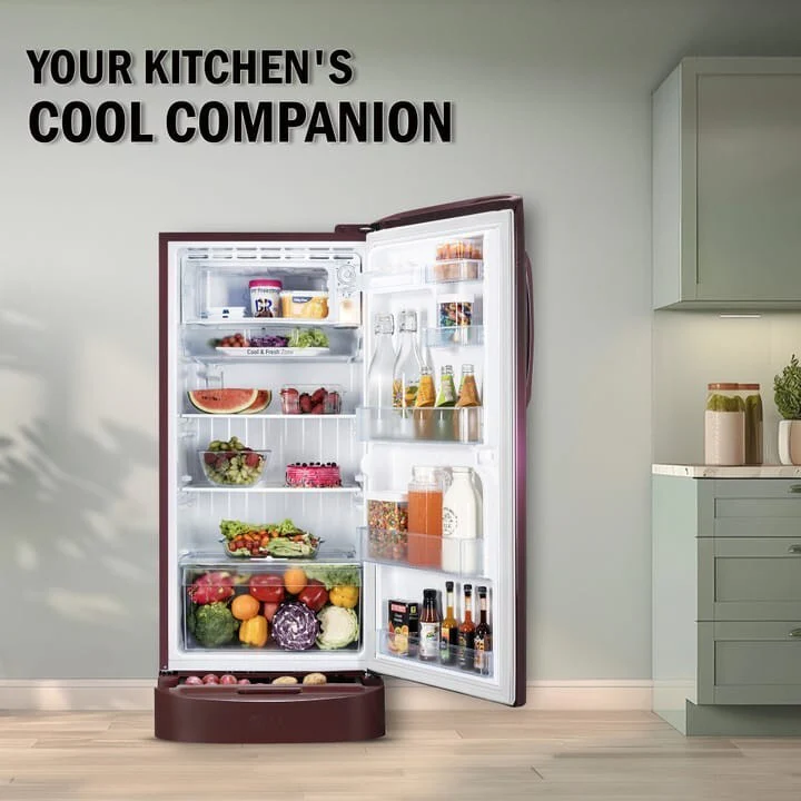 LG 210 L Direct Cool Single Door 5 Star Refrigerator with Base Drawer with Smart Inverter Compressor, Moist ‘N’ Fresh, Fast Ice Making (Red WaterLily, GL-D231ARWU) - Image 13