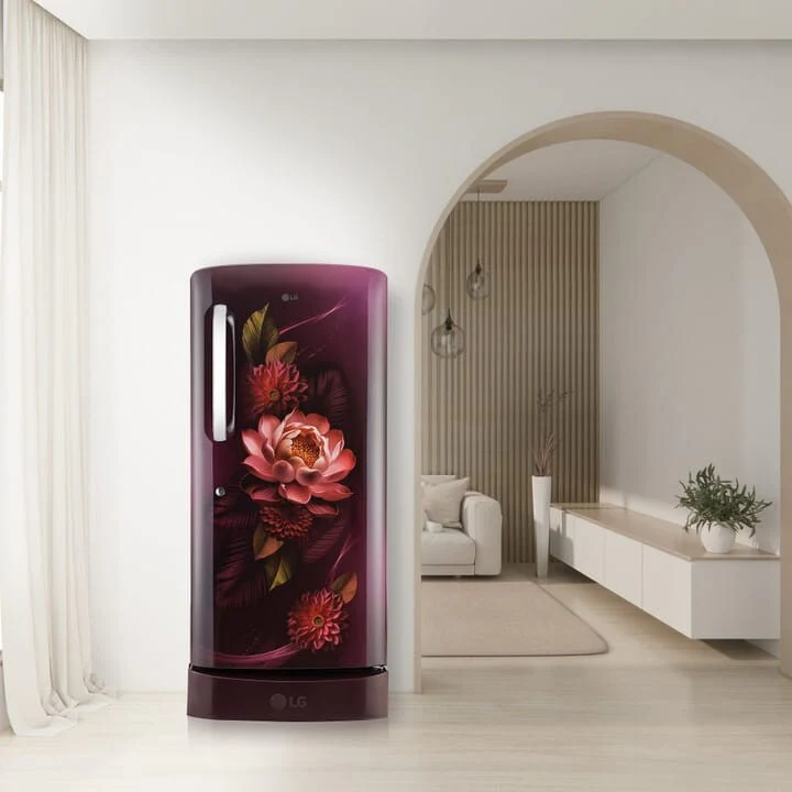 LG 210 L Direct Cool Single Door 5 Star Refrigerator with Base Drawer with Smart Inverter Compressor, Moist ‘N’ Fresh, Fast Ice Making (Red WaterLily, GL-D231ARWU) - Image 3