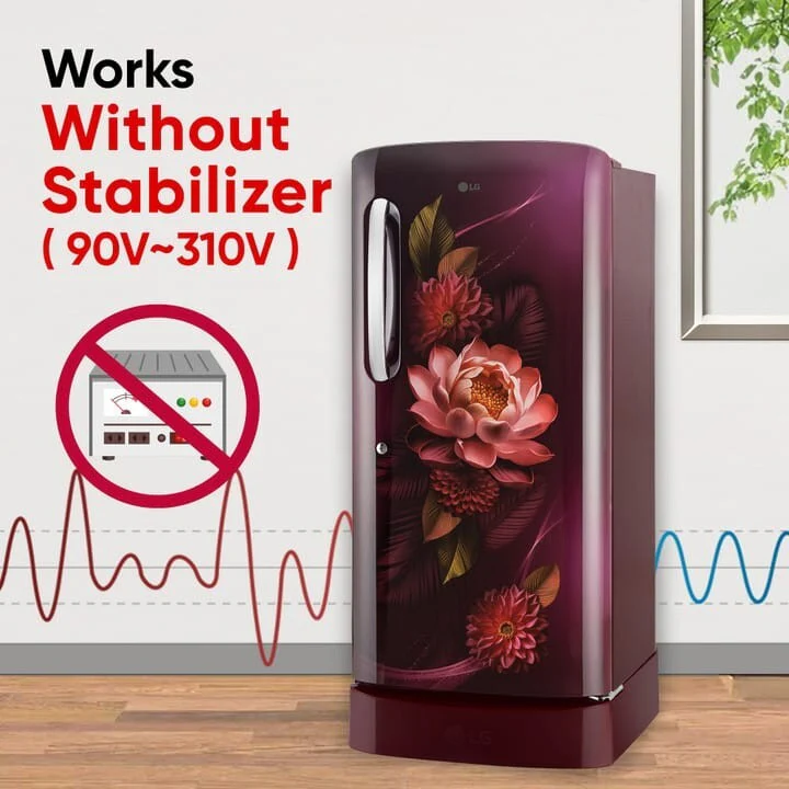 LG 210 L Direct Cool Single Door 5 Star Refrigerator with Base Drawer with Smart Inverter Compressor, Moist ‘N’ Fresh, Fast Ice Making (Red WaterLily, GL-D231ARWU) - Image 9