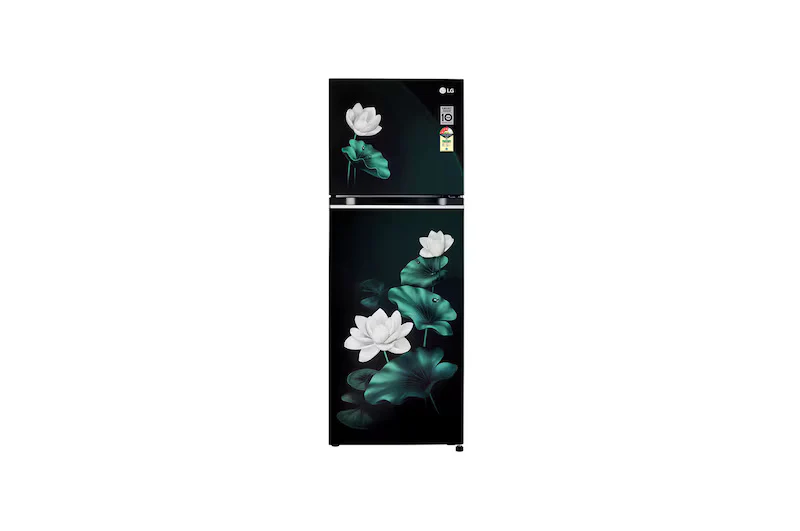 LG 246L Double Door Refrigerator with Smart Inverter Compressor, Convertible, Multi-Air Flow, Emerald Lotus, 3 Star GL-S262SELX