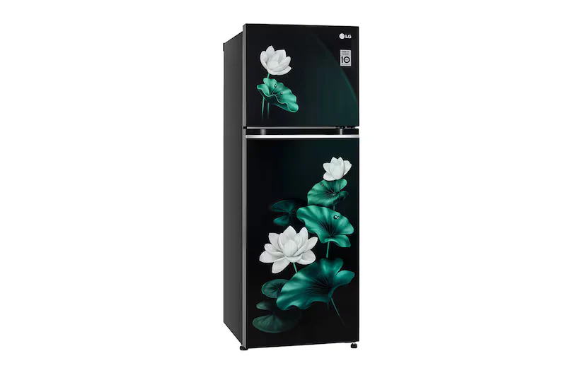LG 246L Double Door Refrigerator with Smart Inverter Compressor, Convertible, Multi-Air Flow, Emerald Lotus, 3 Star GL-S262SELX - Image 5