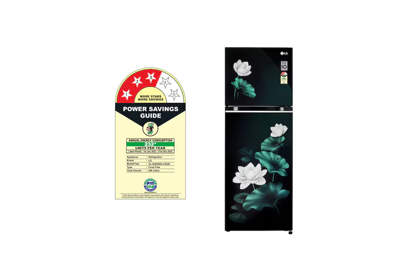 LG 246L Double Door Refrigerator with Smart Inverter Compressor, Convertible, Multi-Air Flow, Emerald Lotus, 3 Star GL-S262SELX - Image 7