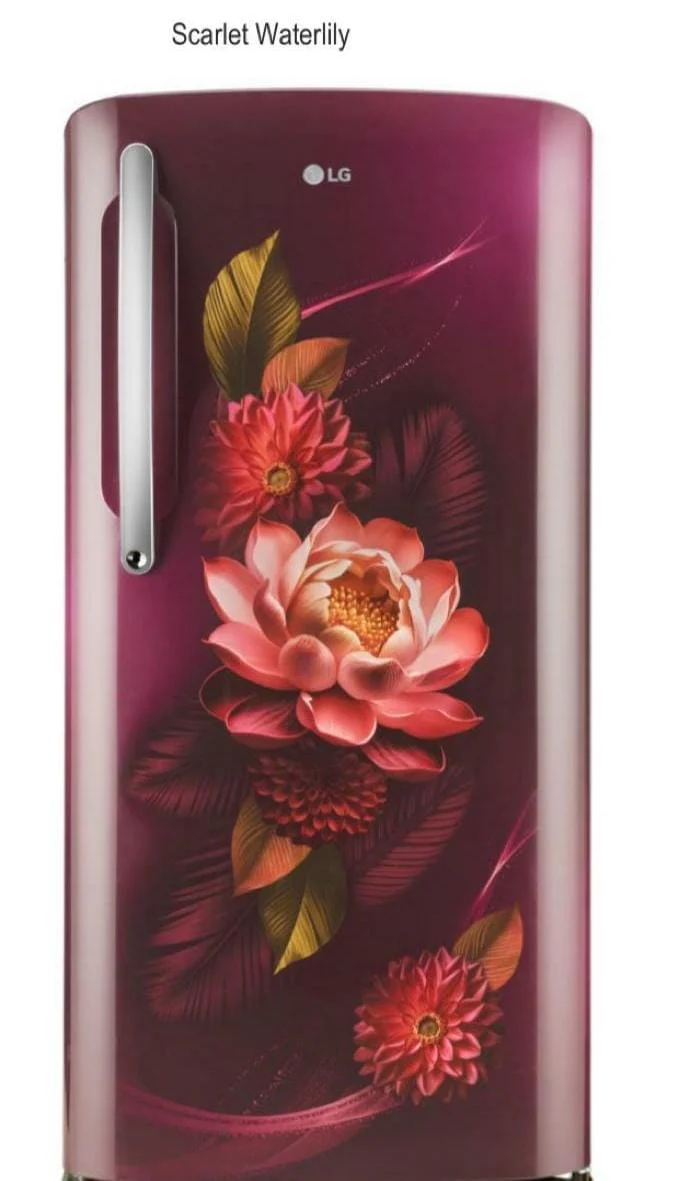 LG GL-B231ARWD 185 L Direct Cool Single Door 3 Star Refrigerator with Fast Ice Making