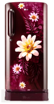 LG GL-D201ASHD 185 L 3 Star Direct-Cool Single Door Refrigerator ( Fast Ice Making)